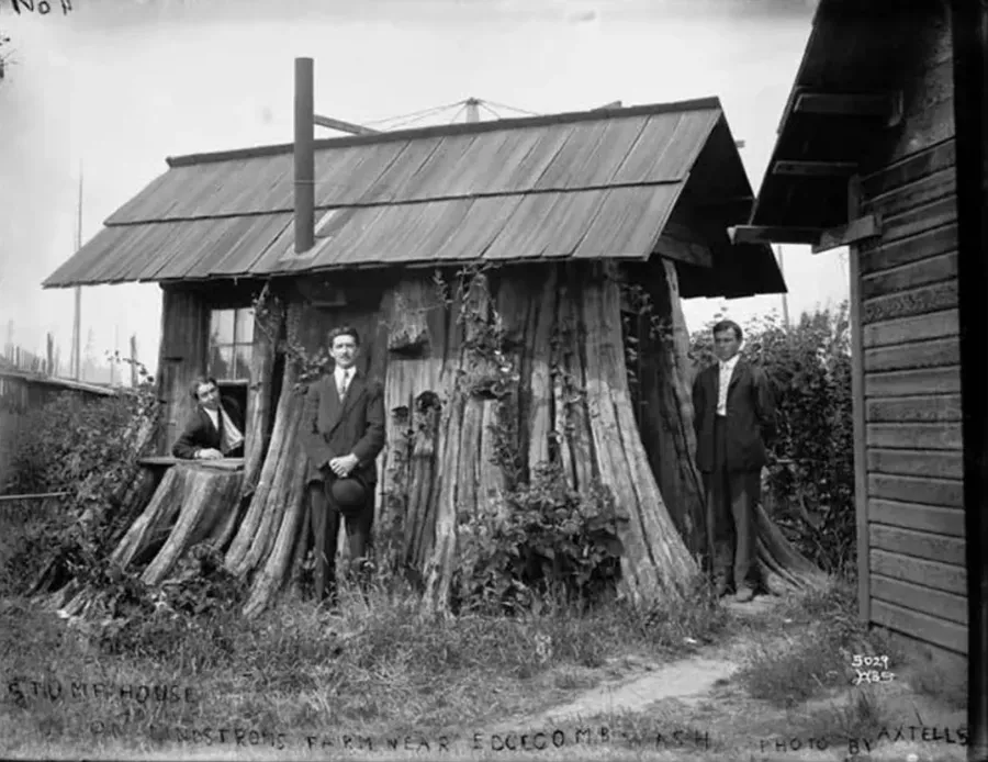 Tree Stump House, Axel Westerlund (1905)
